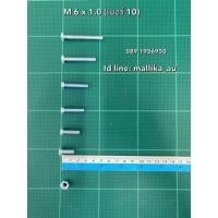 ราคา สกรูมิลขาว M6 น็อตเบอร์ 10 ยาว 15 - 50มม. พร้อมหัวน็อต (10309013369)