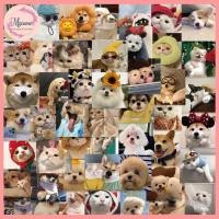 ราคา --MXM--สติกเกอร์ลาย แมว/สุนัข (60 ชิ้น) กันน้ํา สําหรับติดตกแต่งกระเป๋าเดินทาง โทรศัพท์ #AI-0030 (26230751152)