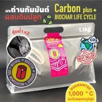 ราคา ถ่านปลูกต้นไม้(biochar)แบบผง1กิโลกรัม ถ่านชีวภาพฟื้นบำรุงดิน ถ่านบริสุทธิ์ ถ่านกัมมันต์ ผงคาร์บอนฟื้นบำรุงดิน (27935289214)