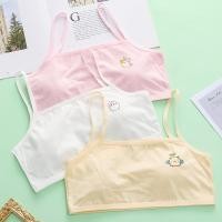 ราคา 6-16y Girls Teenage Training Bra Soft Sport Bra ชุดชั้นในผ้าฝ้ายเด็ก Bra (26703200320)