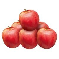 ราคา แอปเปิ้ลกาล่าขนาด Sแพค6 Gala Apple S Pack 6 [หมายเลขบาร์โค้ด 0000020618209 ] สินค้าคุณภาพดี คัดสรรด้วยความใส่ใจ (46609739683)