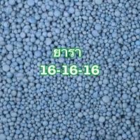 ราคา ปุ๋ยยารามีร่า 16-16-16 ปุ๋ย เร่งใบ เร่งดอก เร่งแตกยอด ปุ๋ยสูตรเสมอ (25255418680)