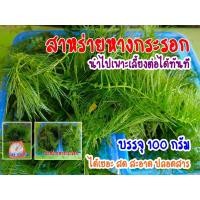 ราคา สาหร่ายหางกระรอก บรรจุ 100 กรัม ได้เยอะ (14794757531)