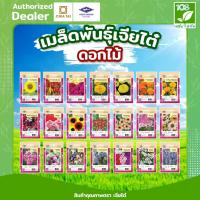 ราคา เมล็ดพันธุ์ ดอกไม้ ซองเจียไต๋ (1 ซอง) เมล็ดพันธุ์ตราเจียไต๋ (49559624414)