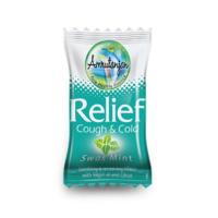 ราคา ลูกอมแก้เจ็บคอ Amrutanjan Relief Cough & Cold Swas Mint 200 เม็ด (1883334210)