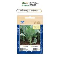 ราคา CHIA TAI เมล็ดพันธุ์ผัก เจียไต๋ เมล็ดผักพื้นบ้าน ผักซอง ผัก คะน้ายอด คะน้า (42513921653)