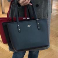 ราคา coach mini สีกรม รุ่นใหม่มีซิป (1462460282)