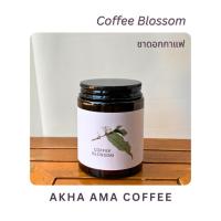 ราคา AKHA AMA COFFEE BLOSSOM TEA ชาดอกกาแฟ อาข่า อ่ามา (10g) (3466293930)