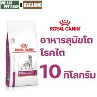 ราคา Royal Canin Vet Dog 10 kg RENAL SELECT สุนัขโรคไต (41058362699)