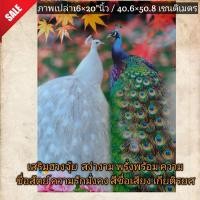ราคา ภาพโปสเตอร์นกยูงคู่รัก เพราะเราคู่กัน เสริมฮวงจุ้ย ขนาด16×20"นิ้ว (2985852216)