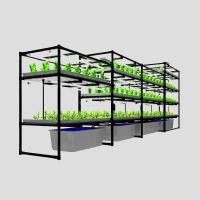 ราคา โครงปลูกผัก hydroponics พร้อมถาดปลูก สำหรับโคลนต้นชำและปลูกผัก (25656828809)