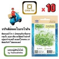ราคา CTOP x 10 เมล็ดผักซองเจียไต๋ ทานตะวันงอก สินค้ายกแพ็ค (46102977127)