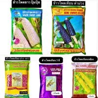 ราคา สิงโต เมล็ด ข้าวโพด ขาวปุ้มปุ้ย,เทียนดำ,ข้าวโพดเทียนม่วง-ขาว,เทียน3สี,เทียนเหลือง,เทียนขาว,แปดแถว,สวีท (1 กิโลกรัม) (40602372402)