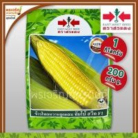ราคา เมล็ดพันธุ์ข้าวโพด ข้าวโพดหวาน จัมโบ้สวีท F1 (200 กรัม, 1 กิโลกรัม) เมล็ดข้าวโพดหวานศรแดง เมล็ดพันธุ์คุณภาพ ตราศรแดง (16655159796)