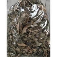ราคา ใบหนุมานประสานกายตากแห้ง สะอาดปลอดสารพิษ (17450893676)