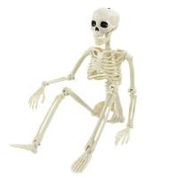 ราคา Halloween Movable Skeleton Fake Human Skull Bones Halloween Party Home Bar Decorations Haunted House Horror Props Orname (26776684508)