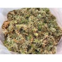 ราคา สแฟกนั่มมอส sphagnum moss 1 kg. (23020817540)