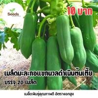 ราคา เมล็ดมะละกอแขกนวลดำเนิน(ต้นเตี้ย) บรรจุ 20 เมล็ด (50700998968)