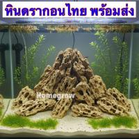 ราคา หินจัดสวน หินตู้ปลา หินดรากอนไทย หินตกแต่ง หินรู หินบอนไซ หินชั้น หินจัดตู้ปลา หินเลยเอ้า (57210410119)