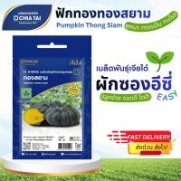 ราคา Easy เมล็ดพันธุ์ฟักทอง ทองสยาม 10เมล็ด เจียไต๋ Pumpkin Thong Siam (56356894567)