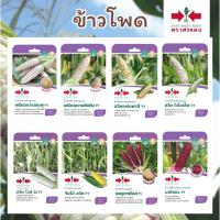 ราคา เมล็ดข้าวโพดข้าวเหนียว,ข้าวโพดหวาน ตราศรแดงหวานชมพู,หวานทับทิม,สวีทแฟนตาซี,สวีทไวโอเล็ท,สวีทไวท์25,จัมโบ้สวีท,มณีแดง (47303614708)