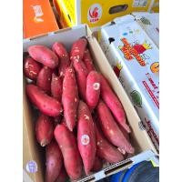 ราคา สด ใหม่ จาก ฟาร์ม ทุกวัน มันหวานญี่ปุ่นเนื้อเหลือง ตรามงกุฏ ( Sweet Potato King)(5 กิโลกรัม) (26903392240)