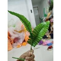 ราคา ใบเฟิร์น ใบเฟิร์นบอสตัน ใบเฟิร์นมะขาม 1กิ่งมี2ใบ พร้อมส่ง (27452259033)