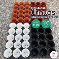 ราคา ชุดเซตกระถางปากแตร 8 ซม. #เบอร์7 15 ใบ พร้อมถาดหลุมกลม 3 นิ้ว 1 ใบ (6778288562)