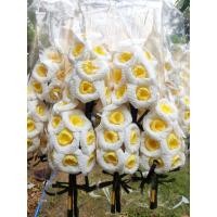 ราคา ดอกไม้จันทน์ช่อ 9 เเพ็คละ10 ช่อ ช่อละ 7บาท จัดส่งฟรี (28937149827)