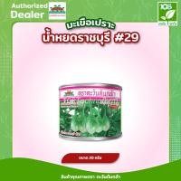 ราคา เมล็ดพันธุ์ มะเขือเปราะลูกผสม น้ำหยดราชบุรี 29 ตรา ตะวันต้นกล้า( 20 กรัม )( 50 กรัม ) (6558305708)