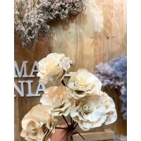 ราคา ดอกชบาดอย สีขาว (กุหลาบชบาดอย) (15378861557)