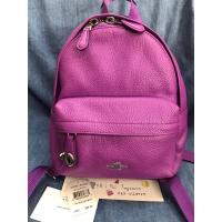 ราคา มือสอง ของแท้ เป้ coach มินิ งานช้อป (27669644479)