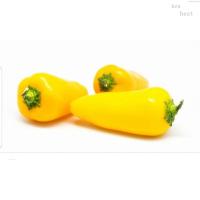 ราคา 10เมล็ดผักพริกหวานสีเหลืองขนาดเล็ก (Fr SG) PGAB (18423852016)