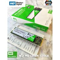 ราคา ฮาร์ดดิสก์ SSD m.2 120 GB M.2/2280 SSD WD GREEN WDSSD120GB-M.2-GREEN (3097436311)