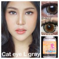 ราคา รหัส 212 Cat eye gray (GaezzSecret) (2421770440)