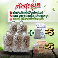 ราคา เชื้อเห็ดฟาง เห็ดฟาง 5 ก้อน+อาหารเสริมเห็ด 5 ถุง+แป้งข้าวเหนียว 5 ถุง (5331620361)