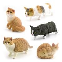 ราคา [คลังสินค้าพร้อม] ฟิกเกอร์โมเดลแมวอ้วนสมจริงแมวเปอร์เซีย British Shorthair Kitty Action Figure ของเล่นตกแต่ง (45360675449)