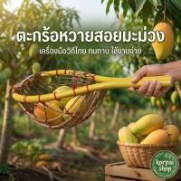 ราคา ตะกร้อสอยมะม่วงหวาย โครงพีวีซี ที่สอยมะม่วง ตะกร้อเก็บผลไม้ (22763732334)