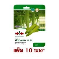 ราคา มะระจีนลูกผสม เขียวหยก 16 F1 10 เมล็ด ศรแดง (ยกแพ็ค 10 ซอง) (29894282191)
