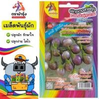 ราคา ขายปลีก เมล็ดพันธุ์ ผัก *แพ็ค5ซอง*ตราม้ารุ้ง Z065 มะเขือไข่เต่าม่วงกลม เมล็ดพันธุ์ เมล็ดผัก ผักซอง ม้ารุ้ง ผักสวนครัว (44073882777)