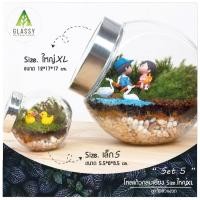 ราคา ชุดจัดสวนขวดแก้ว ขนาดใหญ่ XL ทรงกลมเอียง ตั้งได้2แบบ ชุดจัดสวนขวดครบเซ็ต พร้อมส่ง (12279509173)