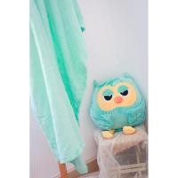 ราคา ตุ๊กตาหมอนผ้าห่มนกฮูก (6766204206)