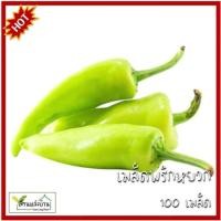 ราคา 100 เมล็ด พริกหยวก เมล็ดพริกหยวก เมล็ดพันธุ์พริกหยวก (27643268171)