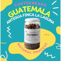 ราคา เมล็ดกาแฟอราบิก้า GUATEMALA ANTIGUA FINCA LA LAGUNA NATURAL PROCESS 100 กรัม (42830503192)