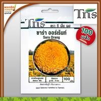 ราคา เมล็ดพันธุ์ ดอกดาวเรือง ซาร่า ออเรนจ์ SO (100 เมล็ด) เมล็ดดาวเรืองตัดดอก เมล็ดพันธุ์ผักสวนครัว ตราทีเอ็นเอส TNS (2933866626)