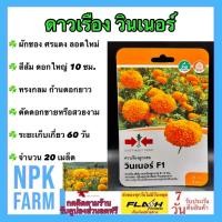 ราคา ศรแดง ดาวเรือง วินเนอร์ จำนวน 20 เมล็ด หมดอายุ 04/09/2569 สีส้ม ดอกใหญ่ ทรงกลม ก้านดอกยาว ตัดดอก (28688951937)
