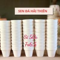 ราคา คอมโบกระถางดินเผาขนาด50ใบ7x6สําหรับปลูกดอกบัวหินน้ําค้างมังกรและการระบายน้ําที่ดี (40213491933)
