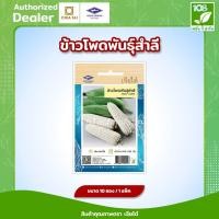 ราคา ผักซอง เมล็ดพันธุ์ ข้าวโพด ข้าวโพดข้าวเหนียว พันธุ์สำลี ตราเจียไต๋ (4526449931)