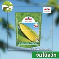 ราคา จัมโบ้สวีท เมล็ดพันธุ์ ข้าวโพด ข้าวโพดหวาน ตราศรแดง (12476522672)