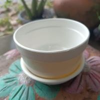 ราคา กระถางกลมเตี้ย 4 นิ้ว กระถางกับจานรองสำหรับกระถาง4นิ้ว สีขาวขุ่น (18236577866)